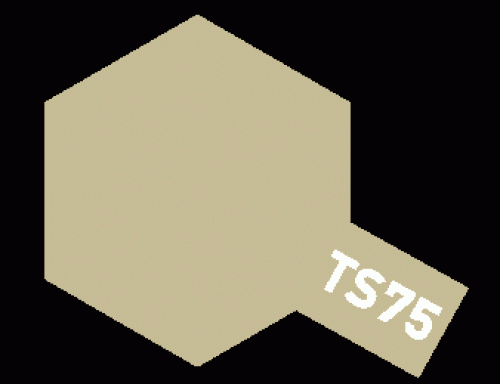 [85075] TS-75 샴페인 골드